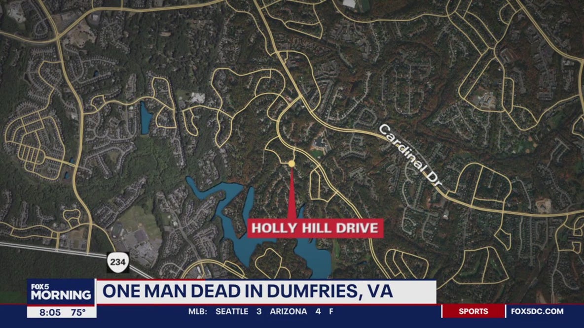 Man found dead in Dumfries home after tree falls during storms